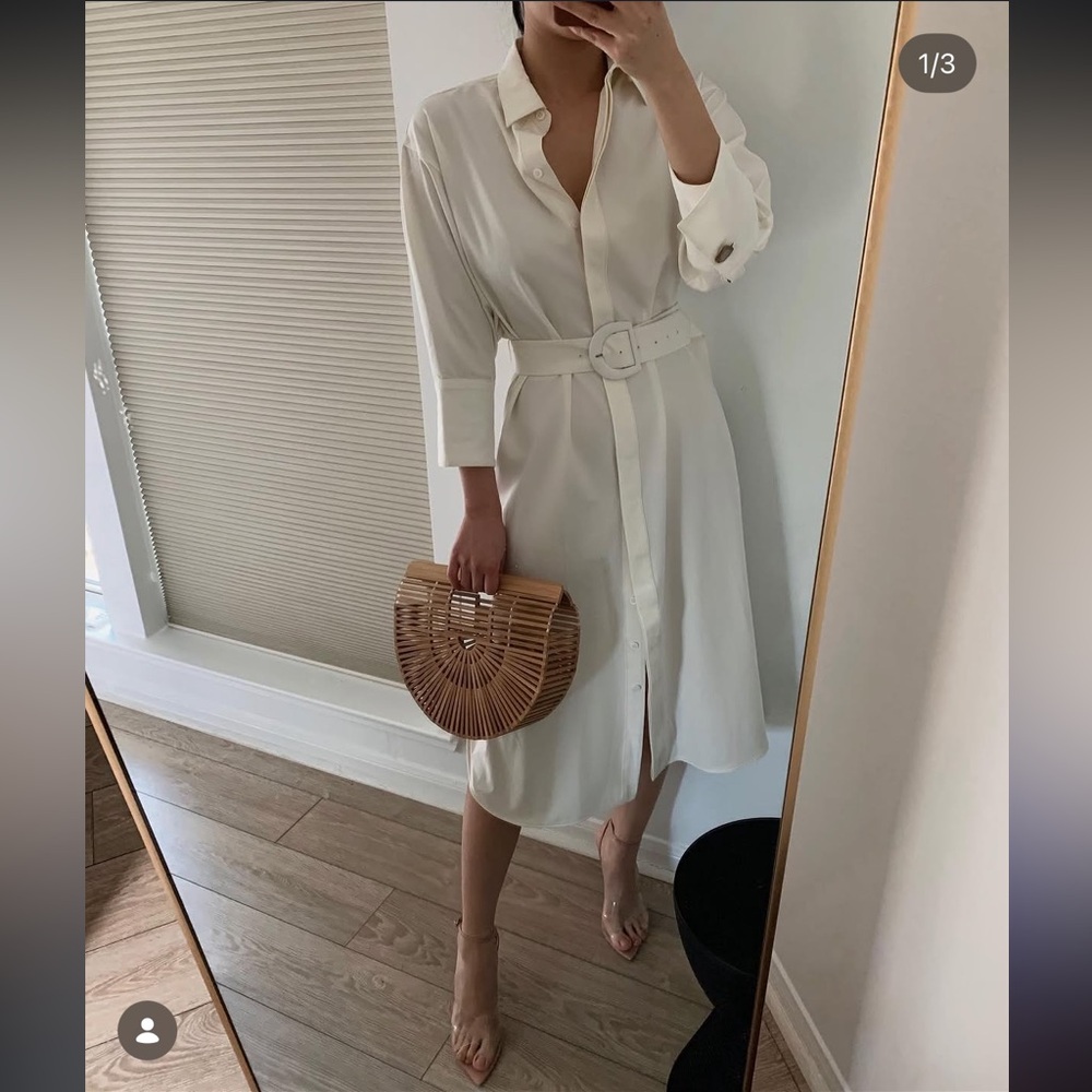 Zara Button Down Belted Dress